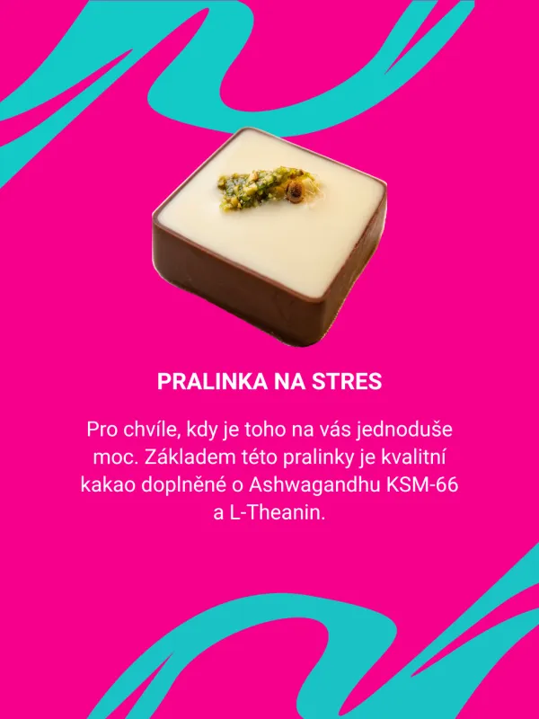 Produkt PRALINKA NA STRES - dýně Obrázek